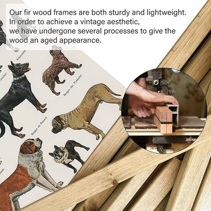 XIAOAIKA Classic Dog Breeds Illustrated Poster - Vintage Canine Varieties Wall Art with Wooden Hanger - Educational and Decorative Print for Pet Lovers and Breeders 16 x 23 Inches
