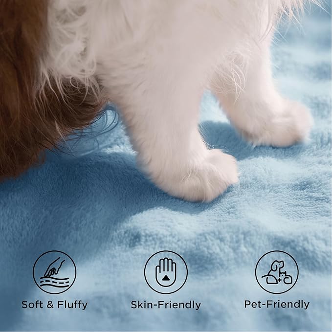Bedsure 5x7 Fluffy Area Rugs for Living Room, Machine Washable Rugs, Non-Slip Backing, Non-Shedding, Pet Friendly Throw Rug for Bedroom Dining Room, Rug for Kids Room, Celestial Blue