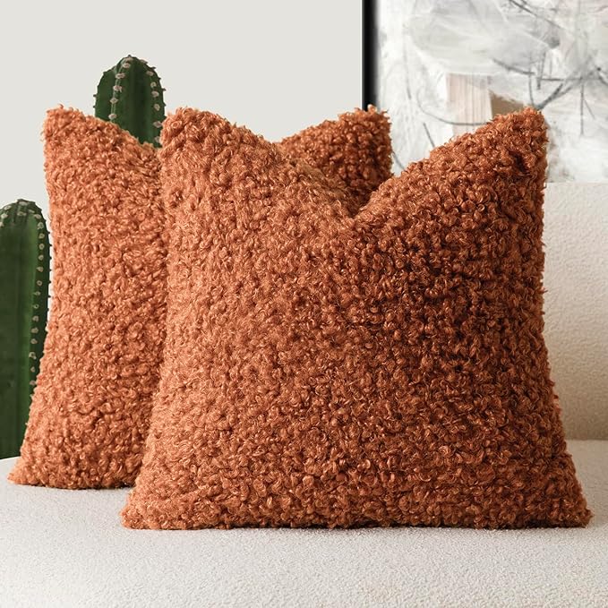 Foindtower 2 Pieces 24x24 Inch Burnt Orange, Faux Fur Throw Pillow Cover Accent Sherpa Furry Pillow Cover Fuzzy Soft Pillowcases Cozy Sheepskin Decorative Fleece Cushion Case for Bed Couch Living Room
