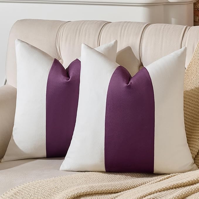 AmHoo Pack of 2 Velvet Panel Cotton Pillow Covers Decorative Pillowcase Cushion for Couch Sofa Bedroom 20 x 20-Inch Dark Purple