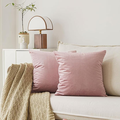 NiNi ALL Decorative Throw Pillow Covers Velvet 30x30 Inch Pack of 2 Dusty Pink Cushion Covers Soft for Couch Sofa Bedroom Living Room Outdoor