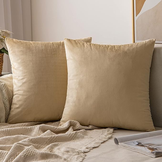 MIULEE 24x24 Inch Euro Sham Velvet Pillow Covers, Set of 2 Large Square Decorative Pillows -Beige Super Soft for King Bed, Sofa, Couch, Accent Chairs with Hidden Zipper
