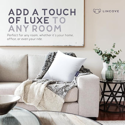Lincove Euro Throw Pillow Insert Square 20"x20" Pillow – Made in Canada, 100% Cotton Shell, Down Alternative Filling, Vegan-Friendly, Hypoallergenic - Decorative Couch Pillows, 1 Pack