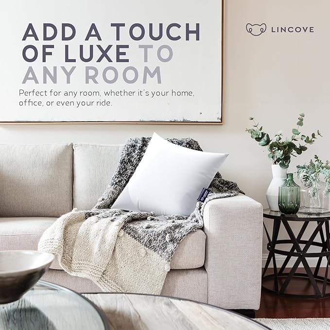 Lincove Euro Throw Pillow Insert Square 17"x17" Pillow – Made in Canada, 100% Cotton Shell, Down Alternative Filling, Vegan-Friendly, Hypoallergenic - Decorative Couch Pillows, 2 Pack