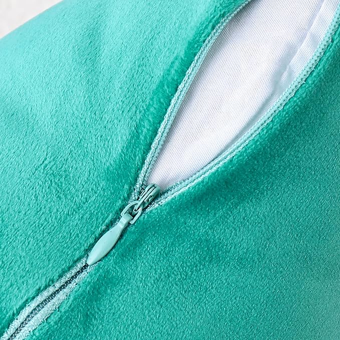 NiNi ALL Decorative Throw Pillow Covers Velvet 22x22 Inch Pack of 2 Aqua Green Cushion Covers Soft for Couch Sofa Bedroom Living Room Outdoor