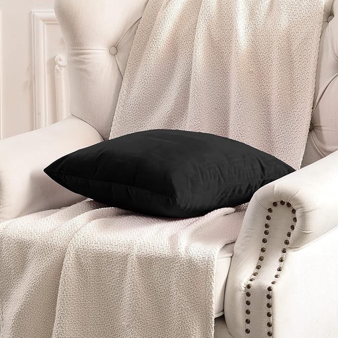 FY FIBER HOUSE Pack of 2 Velvet Throw Pillow Covers Decorative Pillowcase Soft Solid Cushion Cover, 18 x 18 Inch, Black