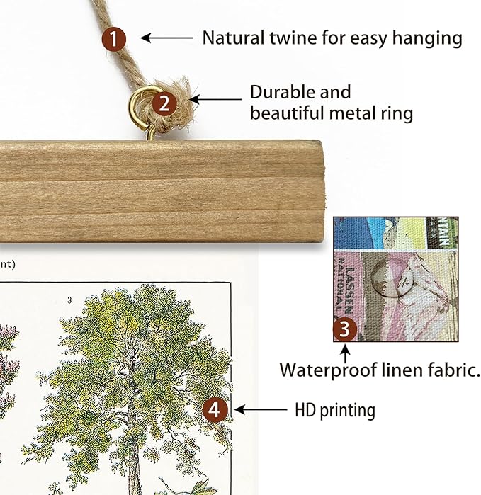 XIAOAIKA Vintage Tree and Shrub Poster - Botanical Educational Retro Wall Art with Wooden Frame for Gardening Enthusiasts and Landscape Designers 16 x 23 Inches
