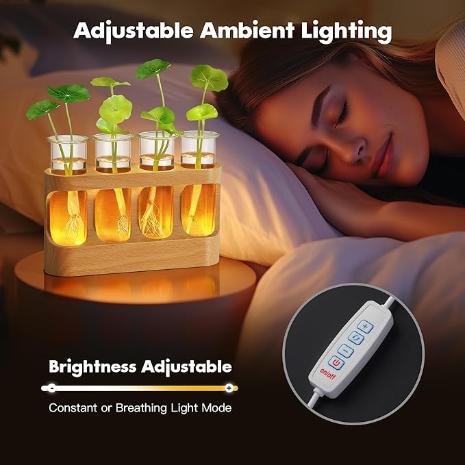 Plant Propagation Station with LED Light – Glass Test Tube Vases & Beech Wood Desk Decor, Wooden Stand Terrarium for Indoor Home Office, Plant Gifts for Women Plant Lovers