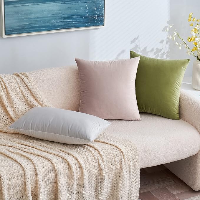 EMEMA Pack of 2 Velvet Pillow Covers Decorative Square Pillowcase Soft Solid Cushion Case for Sofa Bedroom Car 18x18 Inch Sage Green