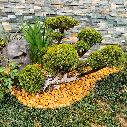 40lbs Yellow River Rocks for Landscaping, 2-3 Inch Natural Pebbles for Indoor Plants, High Polished Decorative Stones Garden Outdoor and Indoor DIY Vase Filler Fish Tank Aquariums