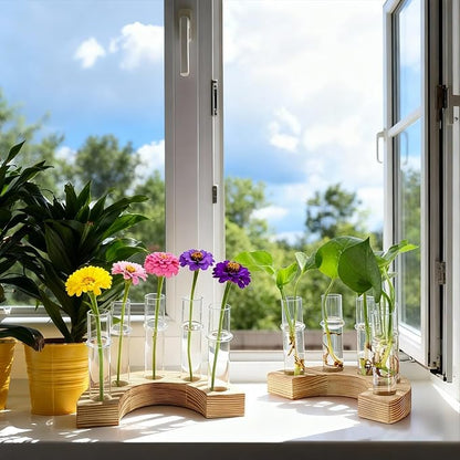 Plant Propagation Station with Wooden Stand, Valentines Day Gift, Glass Propagation Vase for Plants, Plant Terrarium Birthday Gifts for Women Mom Plants Lovers, Home Office Garden Decor, 5 Glass Tubes