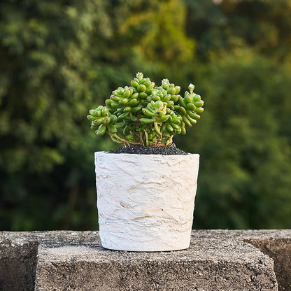Ekirlin 7 Inch Natural Ore Textures Plant Pot, Resin Outdoor Planters with Drainage Hole, Removable Rubber Stopper and Non-Slip Soft Pad,Weatherproof Decorative Pot for Indoor/Garden Plants