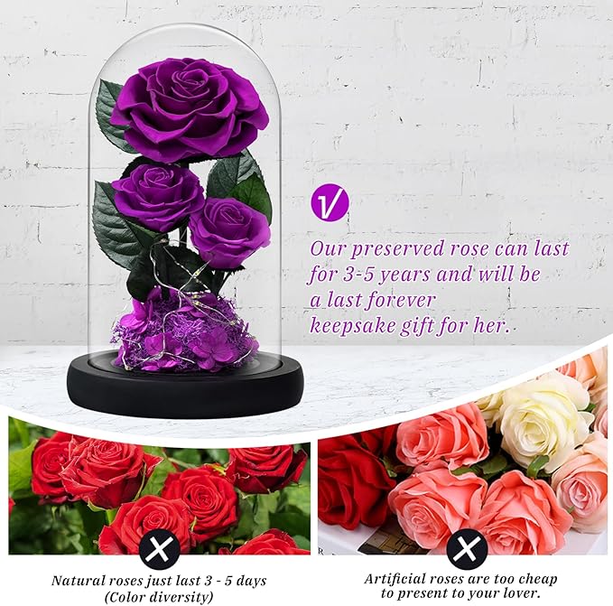 3 Preserved Flowers Roses in Glass Dome with Light for Beauty and The Beast Decor Real Rosas Eternas for Women Mom Birthday,Forever Purple Roses for Delivery, for Wife Girlfriend Her