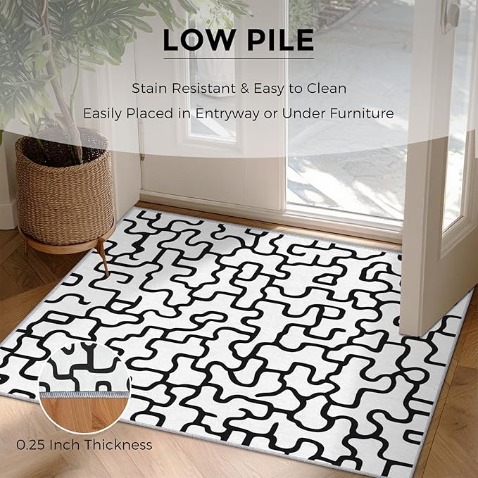Abstract Geometric Rugs for Home Decor, 4x5 ft, Black and White Labyrinth Area Rugs for Living Room, Soft Non Slip Washable Modern Abstract Line Carpet Bedroom Decorations Dt-Ghf-31