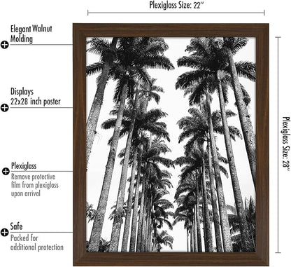 Americanflat 22x28 Poster Frame with Polished Plexiglass - Wide Picture Frames Made of Engineered Wood for Vertical or Horizontal Wall Display - Epic Collection - Walnut