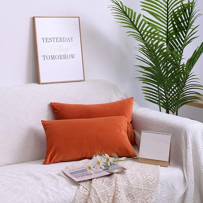 FEVERQIYI 12x20 Velvet Lumbar Throw Pillow Covers Set of 2 Burnt Orange Rectangular Sham Pillowcase Soft Solid Decorative Cushion Covers for Bedroom Living Room Outdoor Indoor Decoration