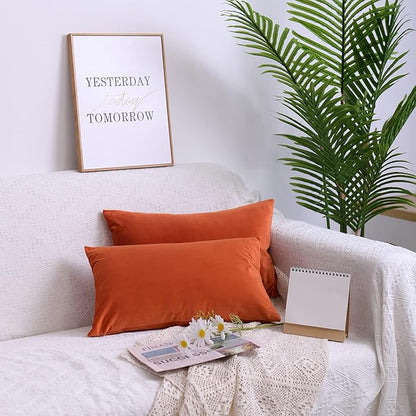 FEVERQIYI 12x20 Velvet Lumbar Throw Pillow Covers Set of 2 Burnt Orange Rectangular Sham Pillowcase Soft Solid Decorative Cushion Covers for Bedroom Living Room Outdoor Indoor Decoration