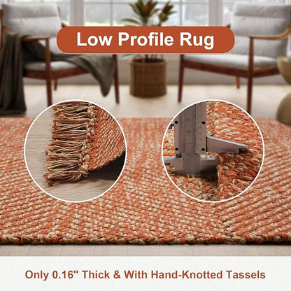 Collive Comfy Area Rug 4' x 6', Terra Woven Cotton Bedroom Rugs, Modern Indoor Accent Rug Floor Carpet with Tassel for Living Room, Nursery Room, Dining Room, Bedside