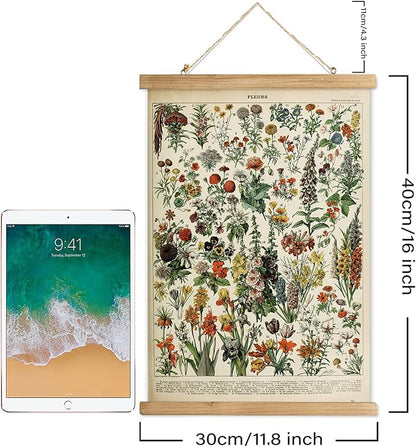 XIAOAIKA Vintage Wildflower Hanging Poster with Wooden Frame, Retro Style Wall Decor Detailed Floral Illustration- Educational Botany Wall Art for Gardeners Home Decor Classroom 12 x 16 Inches