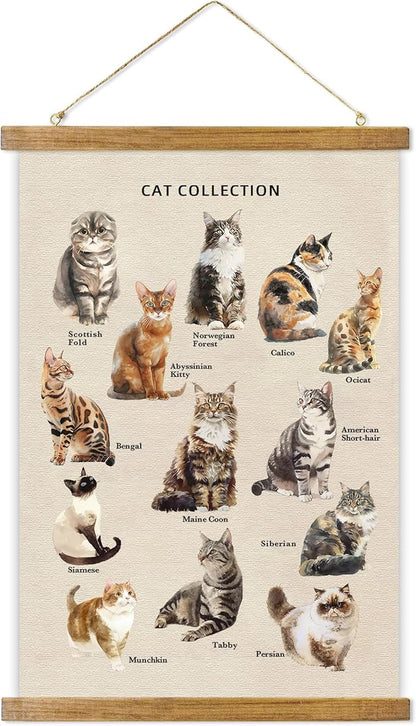 ABoby Vintage Cat Breeds Chart Posters - Pet Wall Art for Homes and Offices - Retro Style Painting with Wood Frames - Ready to Hang
