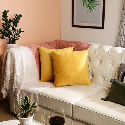 RELY+ Pack of 2 Throw Pillow Covers 16x16 Inch Velvet Soft Cozy Solid Decoration Gifts Pillow Covers Luxury Cushion Case for Sofa Couch Bedroom Living Room (Yellow, 16 x 16)