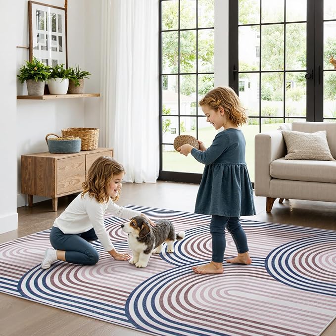 Moynesa Boho Rainbow 6x9 Area Rugs for Living Room, Ultra Thin Soft Colored Bedroom Rugs Machine Washable, Non Slip Mid Century Modern Large Indoor Carpet for Office Playroom Dining Room