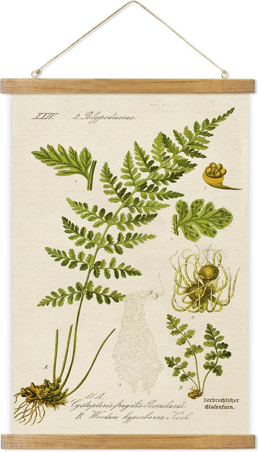 Vintage Illustrative Reference Plant Hanging Poster, Retro Style of Botanical Wall Art Prints, Printed on Linen with Wood Frames, Ready to Hang