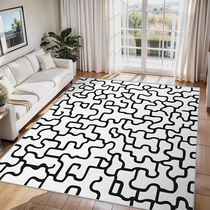 Abstract Geometric Rugs for Home Decor, 3x5 ft, Black and White Labyrinth Area Rugs for Living Room, Soft Non Slip Washable Modern Abstract Line Carpet Bedroom Decorations Dt-Ghf-31