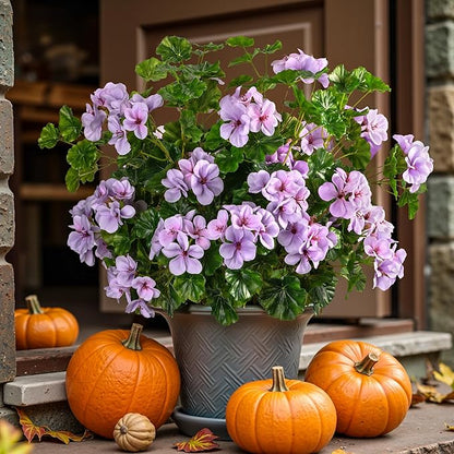 Artificial Flowers for Outdoors Artificial Geraniums for Indoor Fake Flowers Uv Resistant Artificial Outdoor Flowers Suitable for Indoor Home Decor Outdoor Garden Decor (Purple, 8PCS,17.7In)