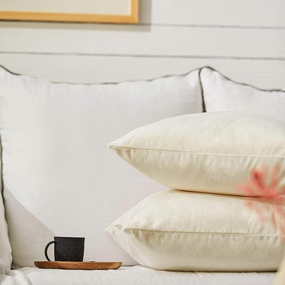 FY FIBER HOUSE Pack of 2 Velvet Throw Pillow Covers Decorative Square Pillowcase Soft Solid Cushion Case for Sofa/Couch Use, 20 x 20 Inch White