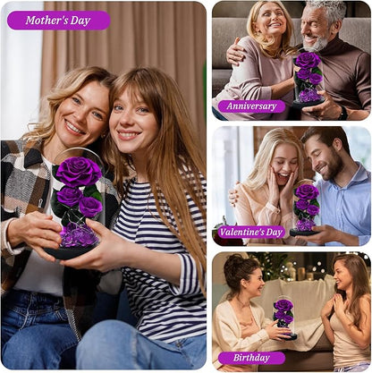 3 Preserved Flowers Roses in Glass Dome with Light for Beauty and The Beast Decor Real Rosas Eternas for Women Mom Birthday,Forever Purple Roses for Delivery, for Wife Girlfriend Her