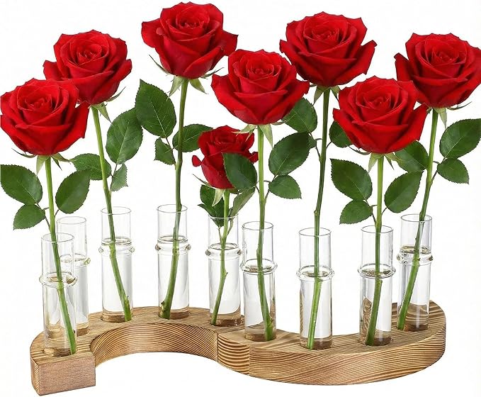 2 PCS Plant Propagation Station with Wooden Stand, Valentines Day Gifts, Glass Terrarium Vases for Plants, Birthday Gifts for Women Mom Plants Lovers, Home Office Garden Decor, 10 Tubes