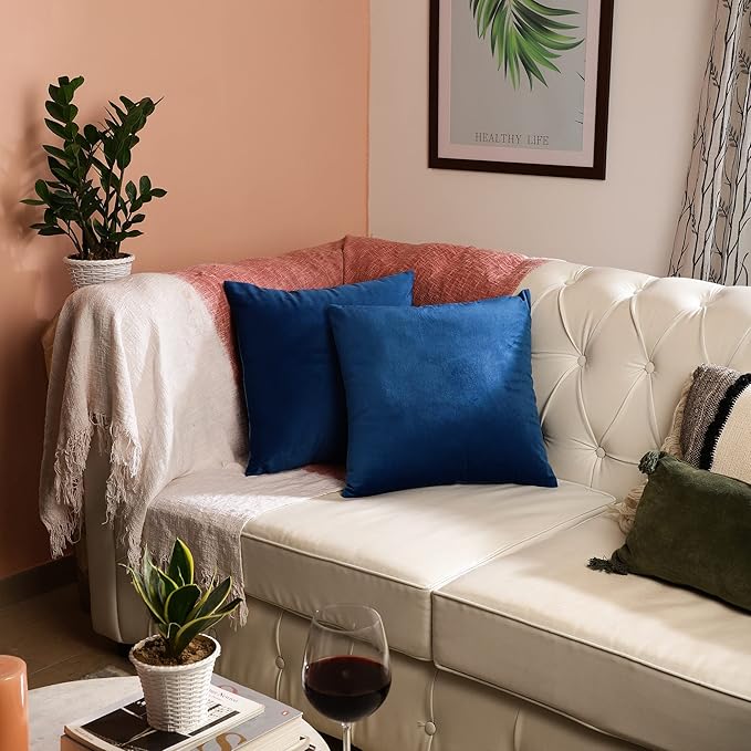 RELY+ Pack of 2 Throw Pillow Covers 16x16 Inch Velvet Soft Cozy Solid Decoration Gifts Pillow Covers Luxury Cushion Case for Sofa Couch Bedroom Living Room (Blue, 18 X 18)