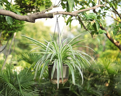 Meicynhoger 2-Pack Vintage Plastic Self-Watering Hanging Planters for Spider Plant,Ivy,Monstera,African Violets - 6.5" Clear Flower Pot with Hooks for Indoor Outdoor,Table, Balcony, Wall,Garden Gray