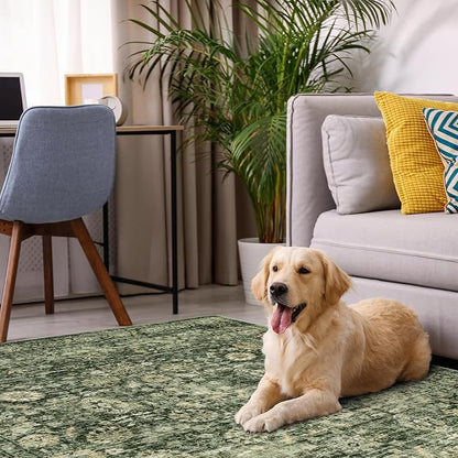 Morebes Vintage Living Room Rugs 6x9,Washable Green Area Rug Non Slip,Distressed Soft Floral Dorm Rug Boho Mat,Large Indoor Accent Floor Carpet for Nursery Kitchen Coffee Table Dining