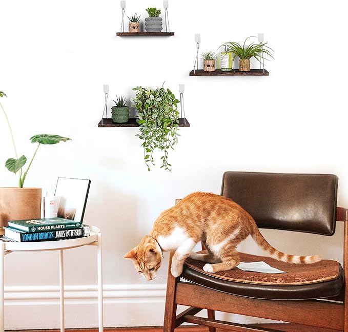 MITIME Floating Shelves Set of 3 Rustic Solid Wood Floating Shelf Wall Storage Shelves for Living Room, Bedroom, Bathroom, Kitchen Laundry, Office.no Drill Shelf.(Retro Color L+M+S)