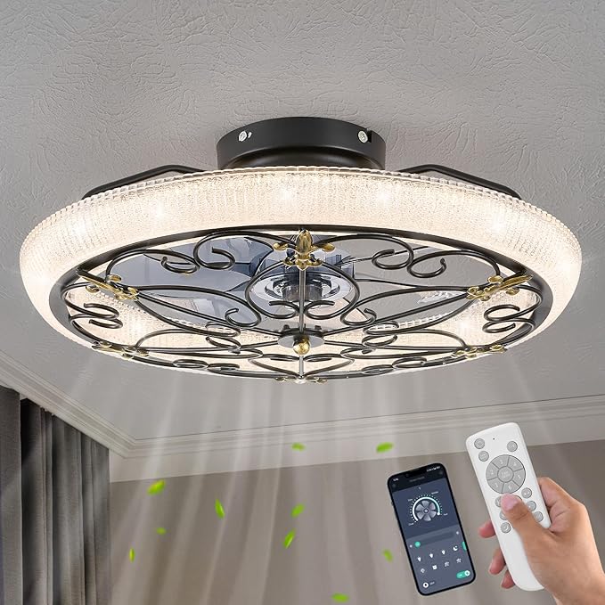 Rustic Black Caged Ceiling Fan with Light, Farmhouse Ceiling Fan Remote Control with Crystal, LED Low Profile Ceiling Light for Bedroom Kitchen Living Room