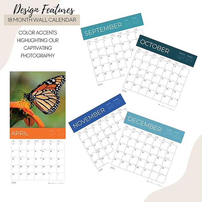 Butterflies Wall Calendar 2026 | 12" x 24" Open | Giftable Nature Calendar 2026 | Thick & Sturdy Paper for Organizing & Planning | Pacific Waters Press (Butterflies)