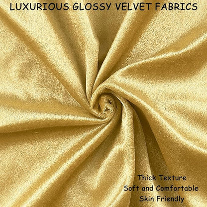2 Pack 20x20 Pillow Cover Velvet Pillow Covers, Square Throw Pillow Covers for Living Room Decorations Throw Pillow Case, Throw Pillow Cover Cushion Cover for Home Sofa Bedroom Car, Gold