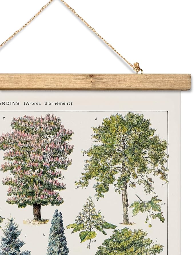 XIAOAIKA Vintage Tree and Shrub Poster - Botanical Educational Retro Wall Art with Wooden Frame for Gardening Enthusiasts and Landscape Designers 16 x 23 Inches