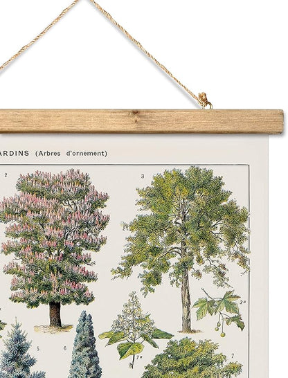 XIAOAIKA Vintage Tree and Shrub Poster - Botanical Educational Retro Wall Art with Wooden Frame for Gardening Enthusiasts and Landscape Designers 16 x 23 Inches