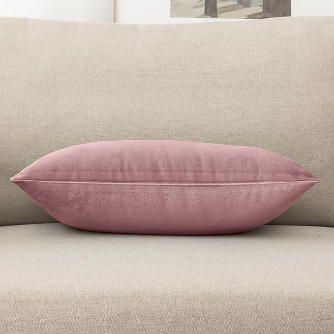 NiNi ALL Decorative Throw Pillow Covers Velvet 20x30 Inch Pack of 2 Dusty Pink Cushion Covers Soft for Couch Sofa Bedroom Living Room Outdoor