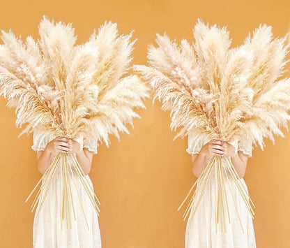 46" inch 20 Stems Natural Pampas Grass Decor Tall, Pompas Grass, Tall Pampas Grass for Weddingm, Farmhouse, Boho Home Decor (Beige)