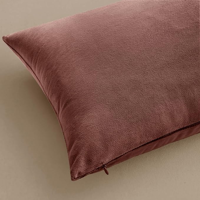 MIULEE 24x24 Inch Euro Sham Velvet Pillow Covers, Set of 2 Large Square Decorative Pillows -Jam Super Soft for King Bed, Sofa, Couch, Accent Chairs with Hidden Zipper