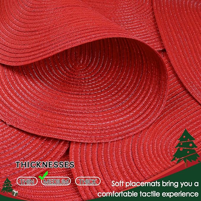 Noctiflorous Oval Braided Placemats Set of 4 Woven 12x18 Inch Non Slip Washable Heat Resistant Place Mats Round Tablemats for Dining Kitchen Party Daily Table Decor Dinner Mats (Red Shine, 4)