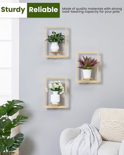 yadoker Wall Planters for Indoor Plants,Bamboo Hanging Plant Holders, Wall Decor Plant Stand, 3-Pack Window Plant Shelves for Living Room & Entryway