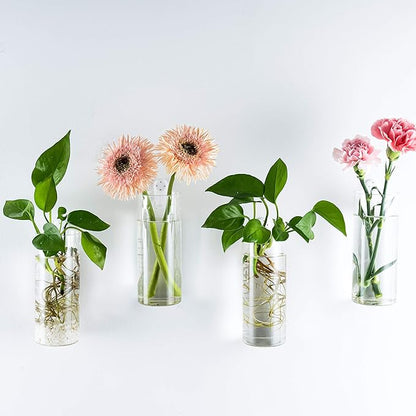 Kingbuy Glass Tube Wall Planter Propagation Station - 2 Pack Terrarium Cylinder Wall Vase with Plant Holder Hydroponic Planter for Home Kitchen Office Decor, Perfect Plant Lover Gifts (Short Cylinder)
