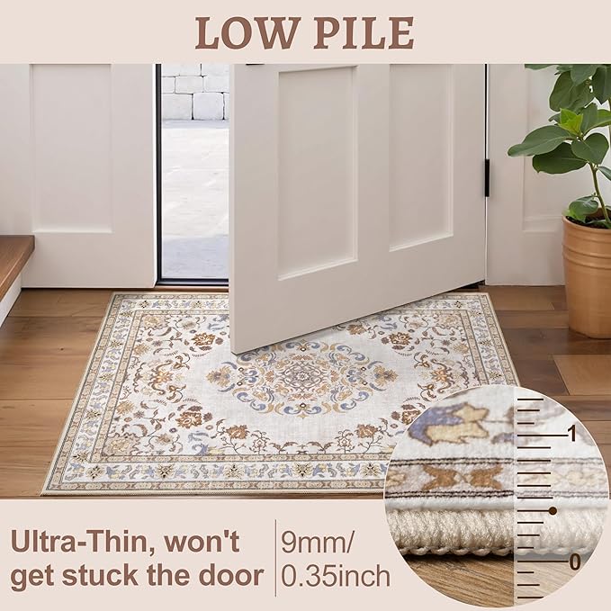 Tangsoo 2x3 Small Rug for Entryway, Washable Area Entry Rugs Non Slip, Neutral Low Pile Soft Area Rugs, Indoor Front Door Boho Throw Rug for Entrance Kitchen Bedroom Bathroom Home Decor