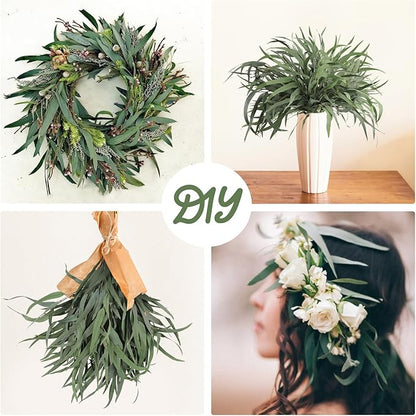 Eucalyptus Stems, 20PCS 17inch Real Fresh Dried Eucalyptus Branches for Shower Wedding Spring Festival Vase Home Decoration
