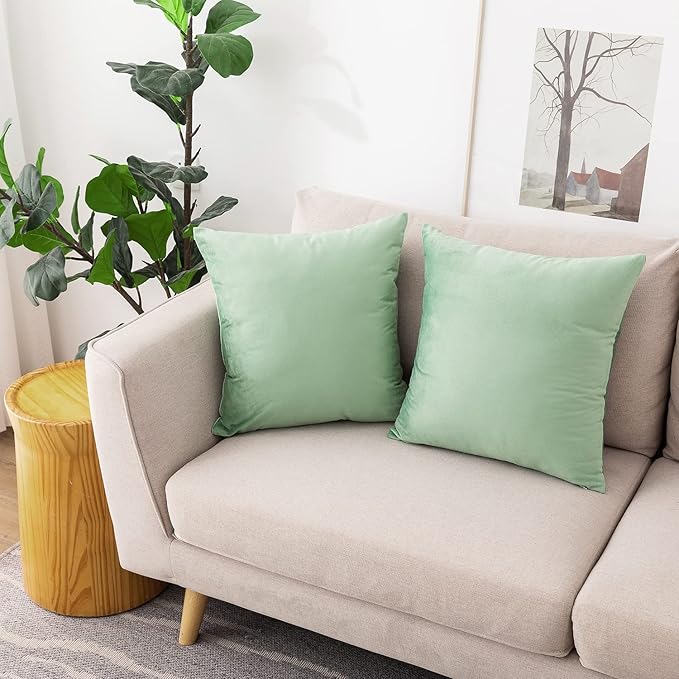 NiNi ALL Decorative Sage Green Throw Pillow Covers Pack of 2 Velvet 12x12 Inch Throw Pillow Cases for Couch Pillows Cover Bedroom Living Room Outdoor Pillows Cover